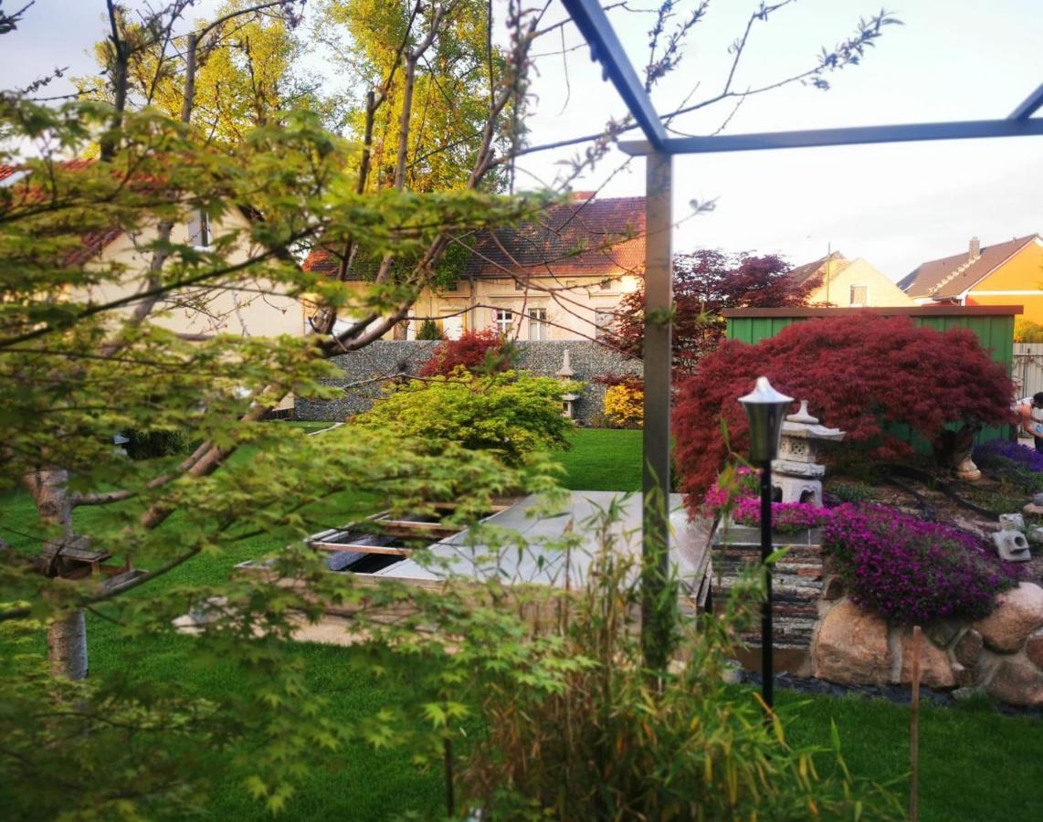 Haus Laila Villa Heidesee Exterior photo